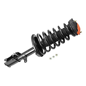 Steering Suspension and Strut Assembly